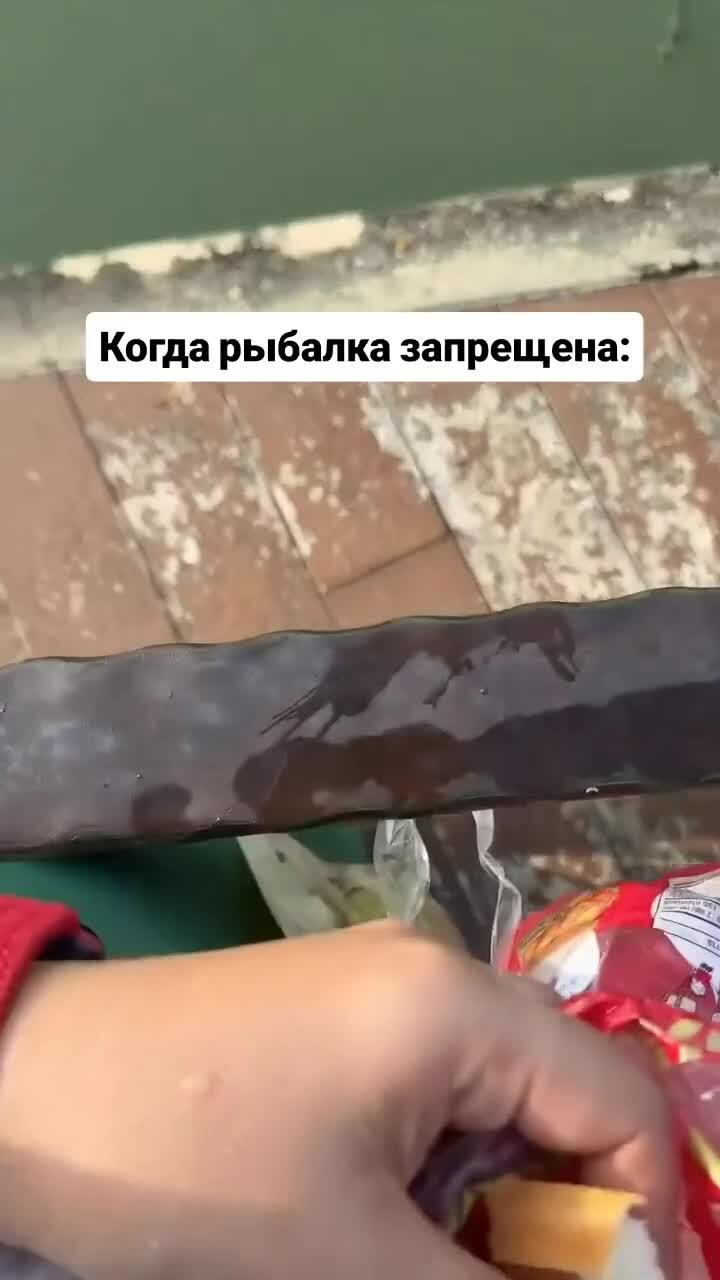 Даров, лошара