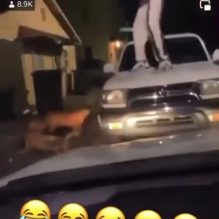 Они не злые, они просто играются