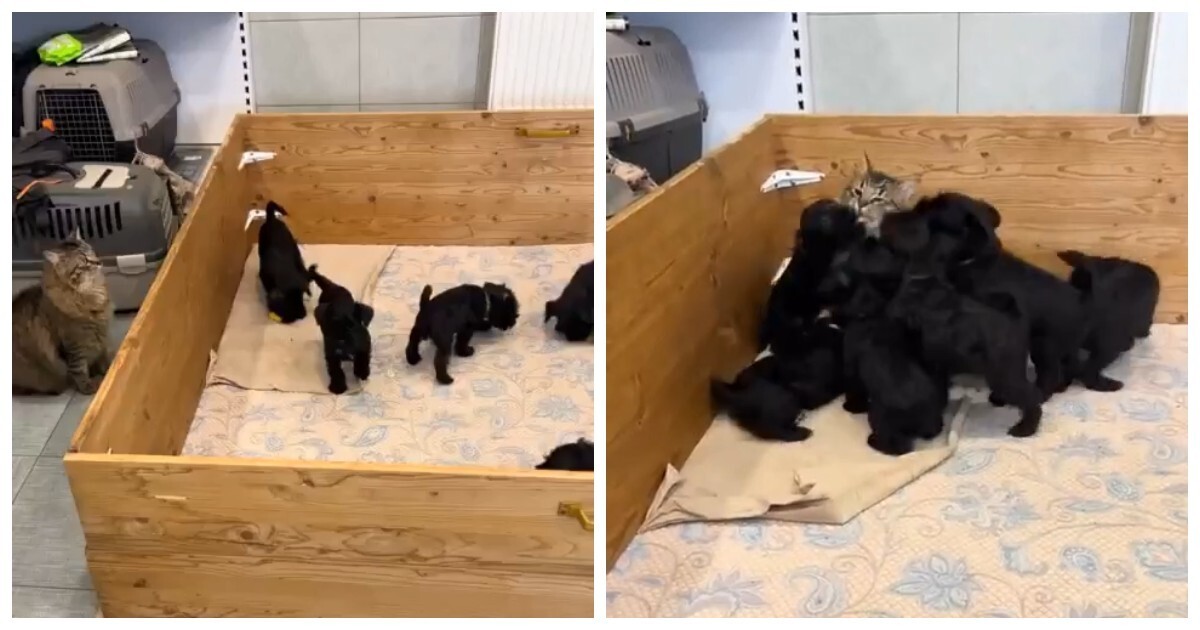 Она сама выбрала свою судьбу