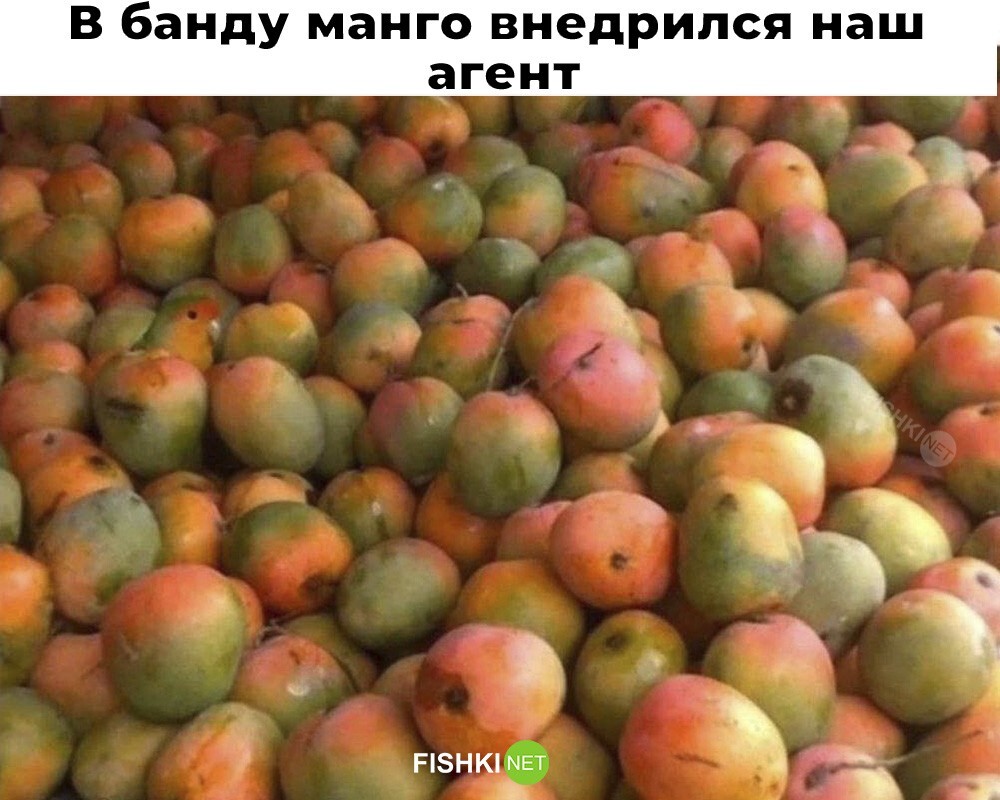 Смешные картинки