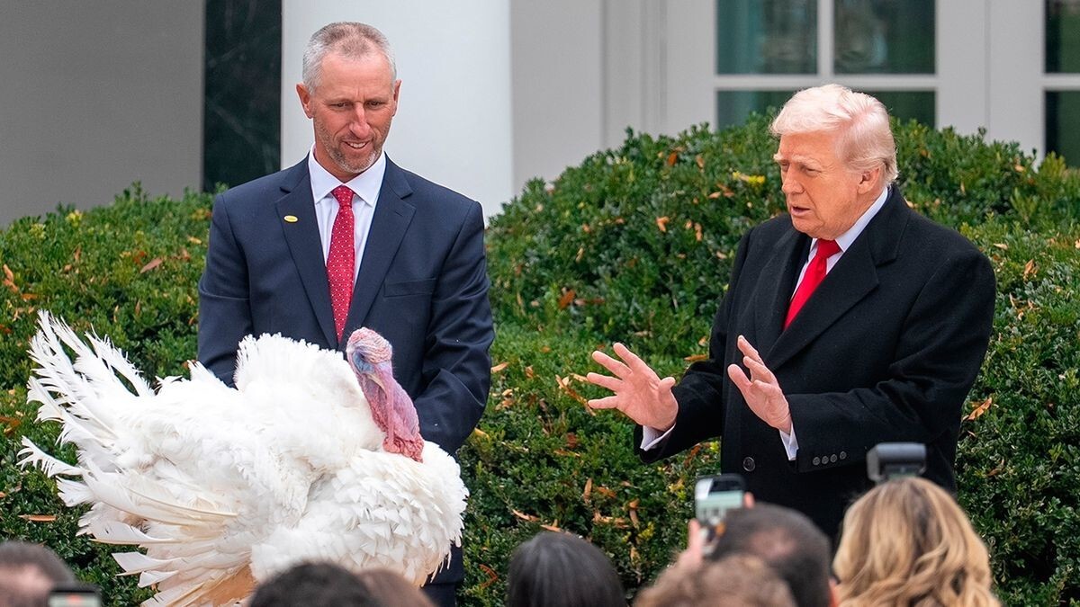 Трамп помиловал двух индеек на День благодарения