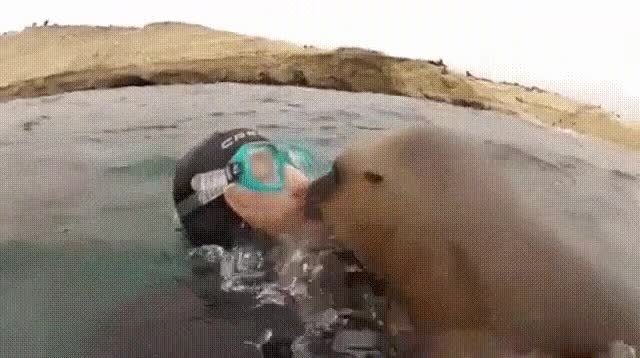 Спецом для Водяного