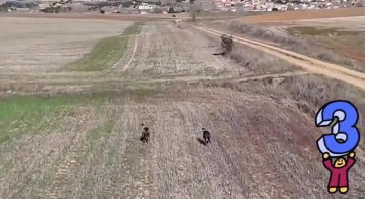 Делайте ставки, господа