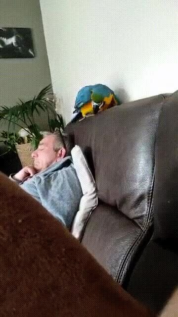 Заботливый ты наш