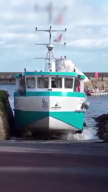 Добрая скотинка