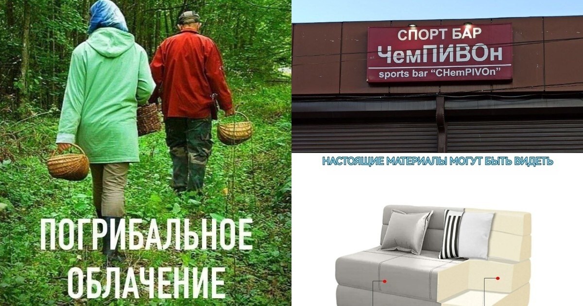 Неронка и ЖЖ: сборник каламбуров и лингвошуток