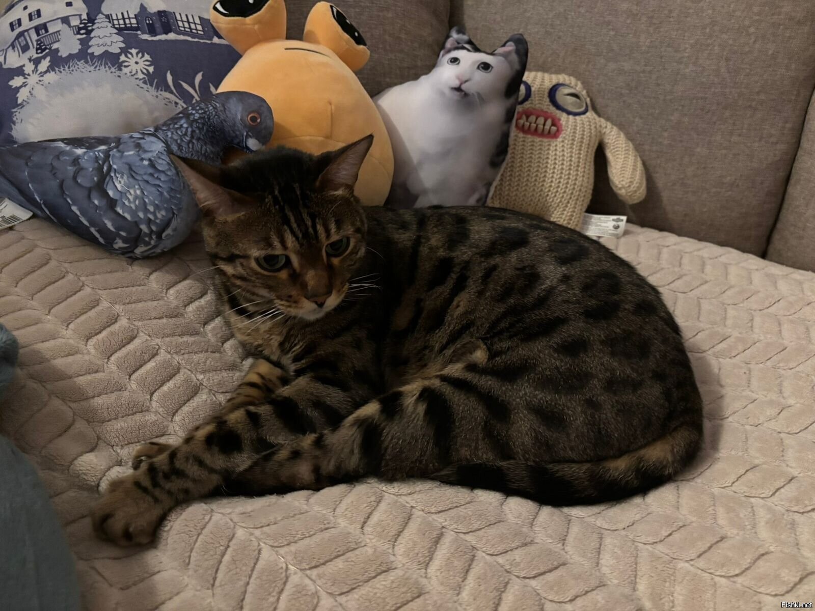 Недоволен, в прочем как всегда 