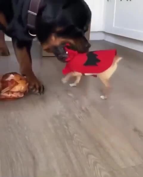 Отлезь, гнида