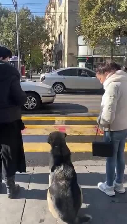 Много говорит об обществе