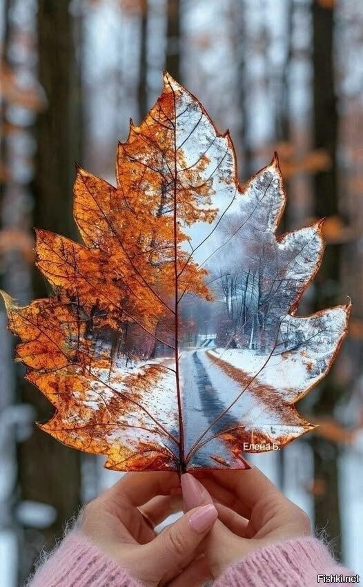 Осень начинает переходить в зиму