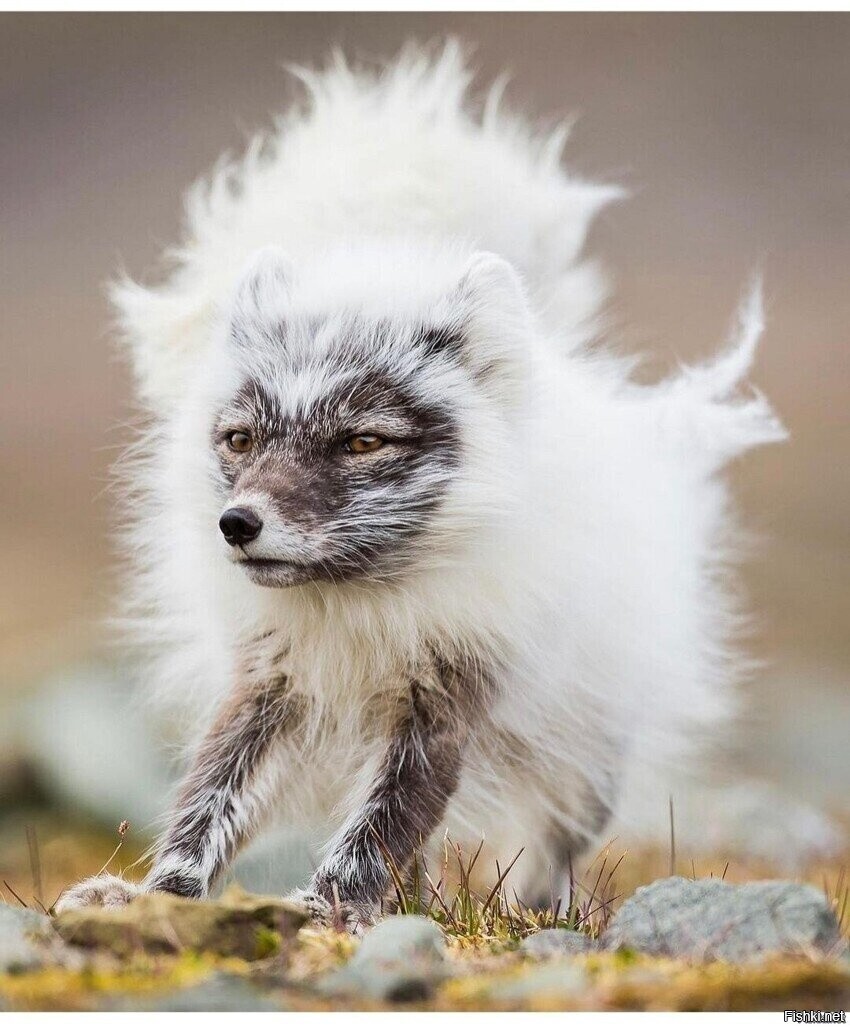 Такой маленький, а уже писец
