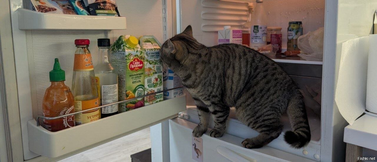 - нас и здесь не плохо кормят (с)