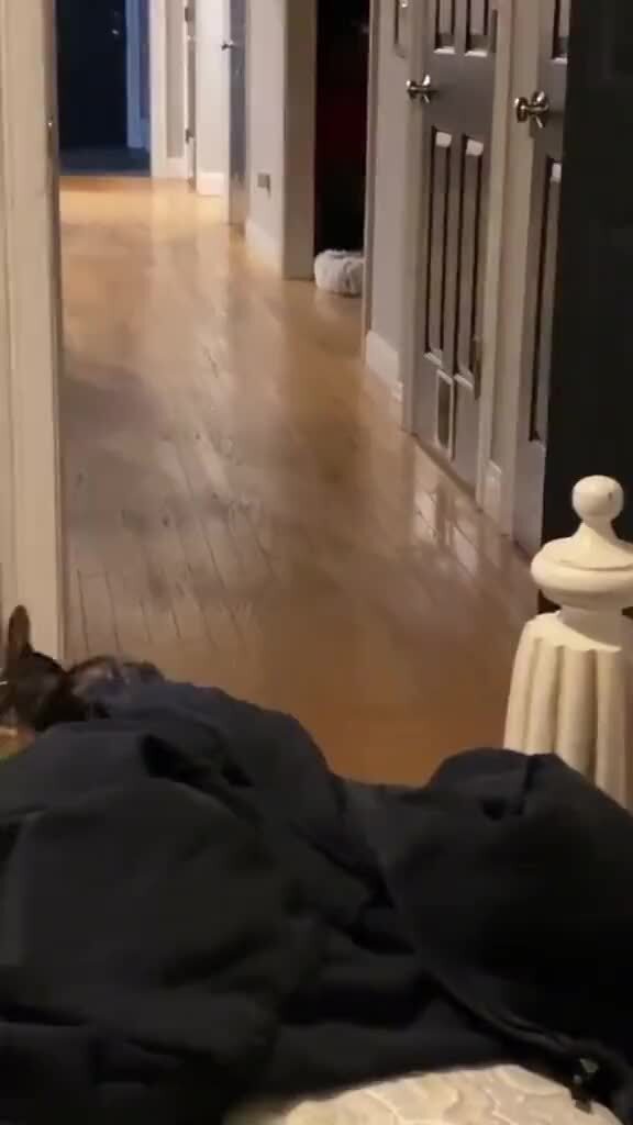 Спокойной ночи