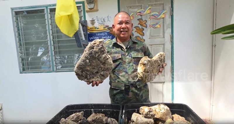 Таец продает 55&nbsp;килограммов затвердевшей рвоты кашалота