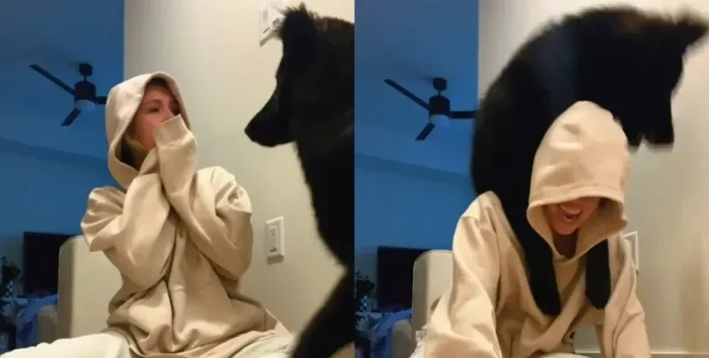 9-месячный щенок удивил всех своими гигантскими размерами