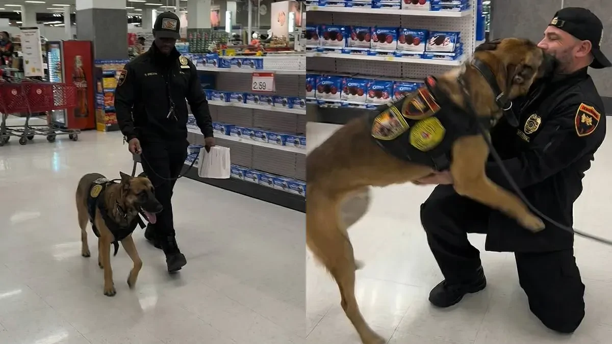 Служебный пёс узнал своего первого хозяина и моментально растаял