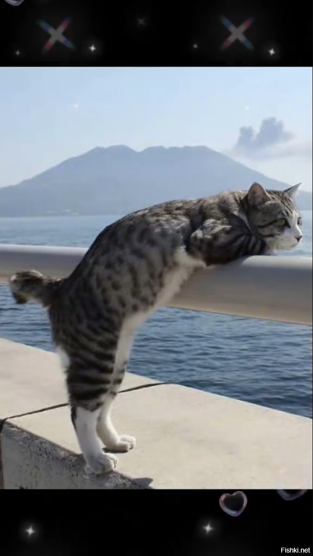 Воды много а рыбов нет