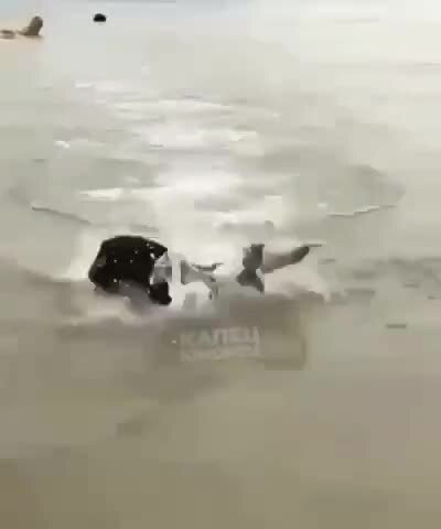 Когда очень долго ждал отпуск