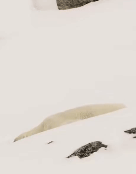 Когда никуда не спешишь