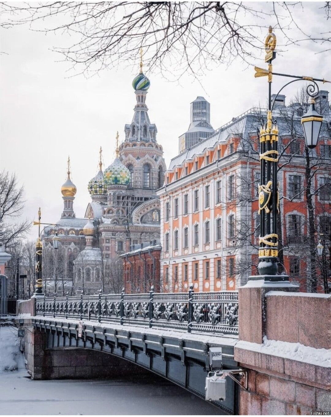 Солянка