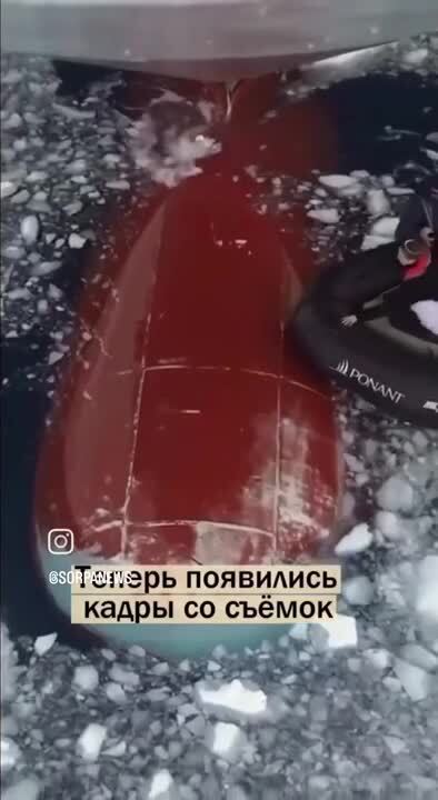 Солянка