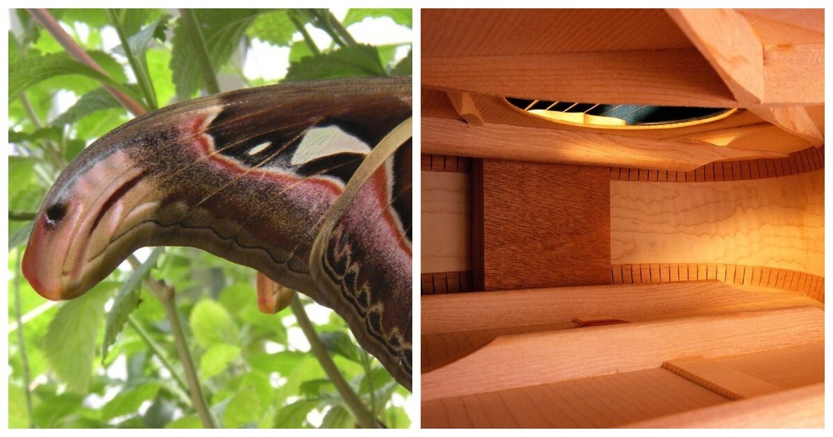 17 ярких примеров того, как искусно мир может обманывать зрение и играть с нашим восприятием