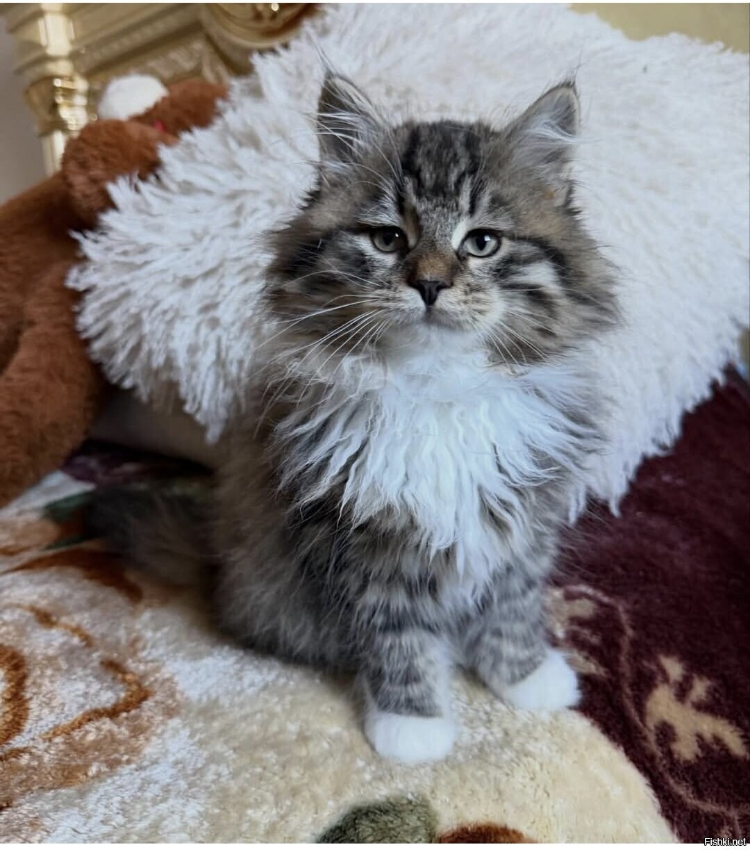 Солянка