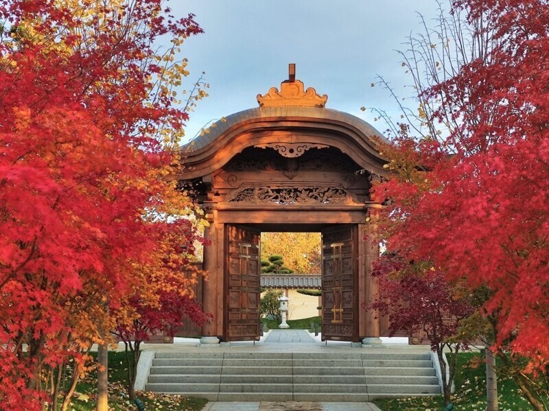 Добро пожаловать, или Посторонним вход разрешен