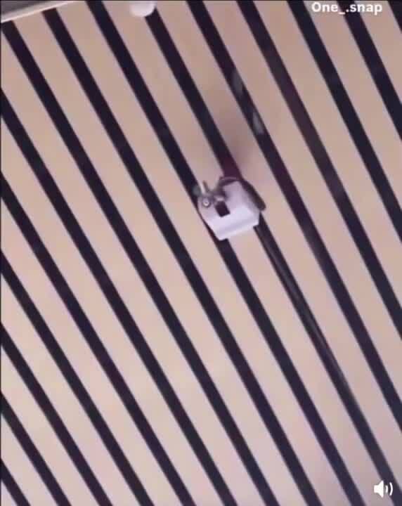 При демонстрации все всегда получается ,а когда нужно почему- то не срабатывает