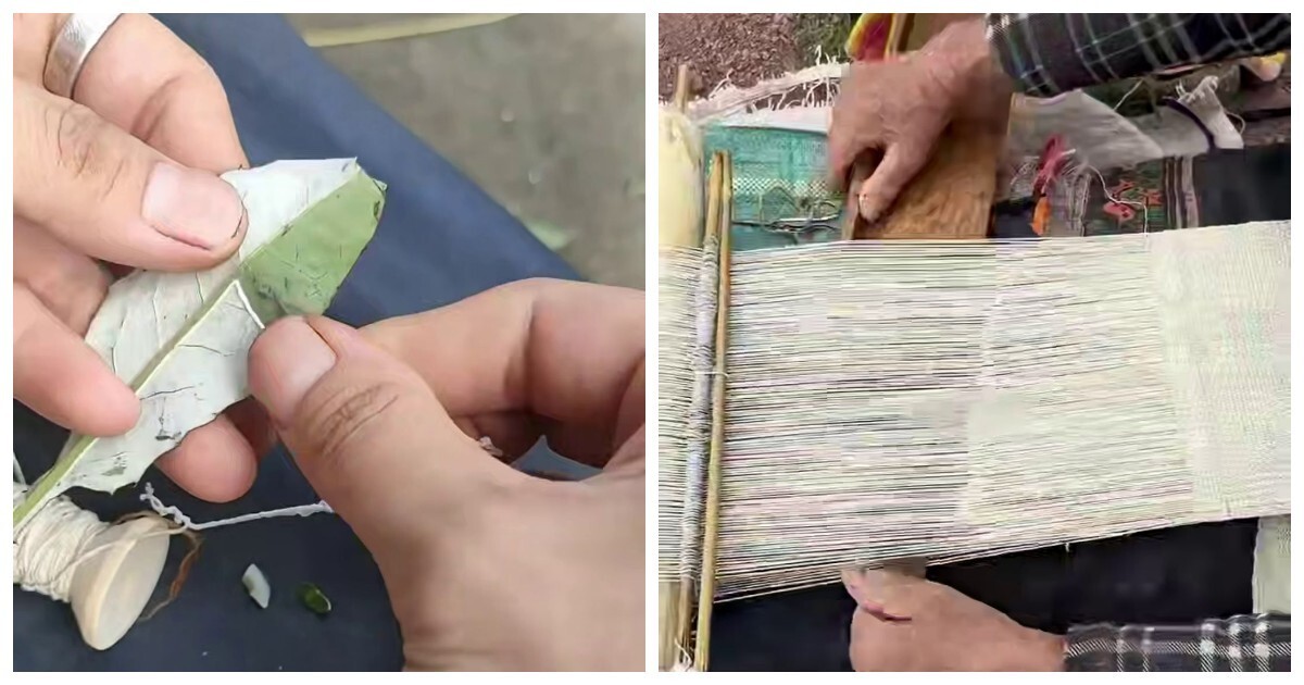 Ремесло «огненной травы»: как в Китае превращают пух герберы в прочную ткань