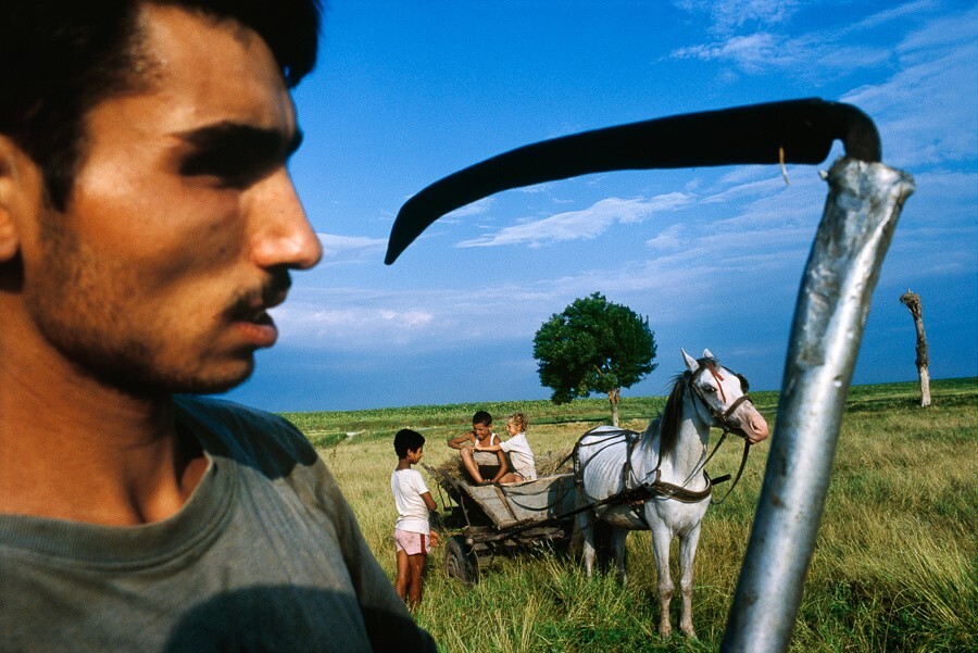 Почему у цыган нет своего государства?