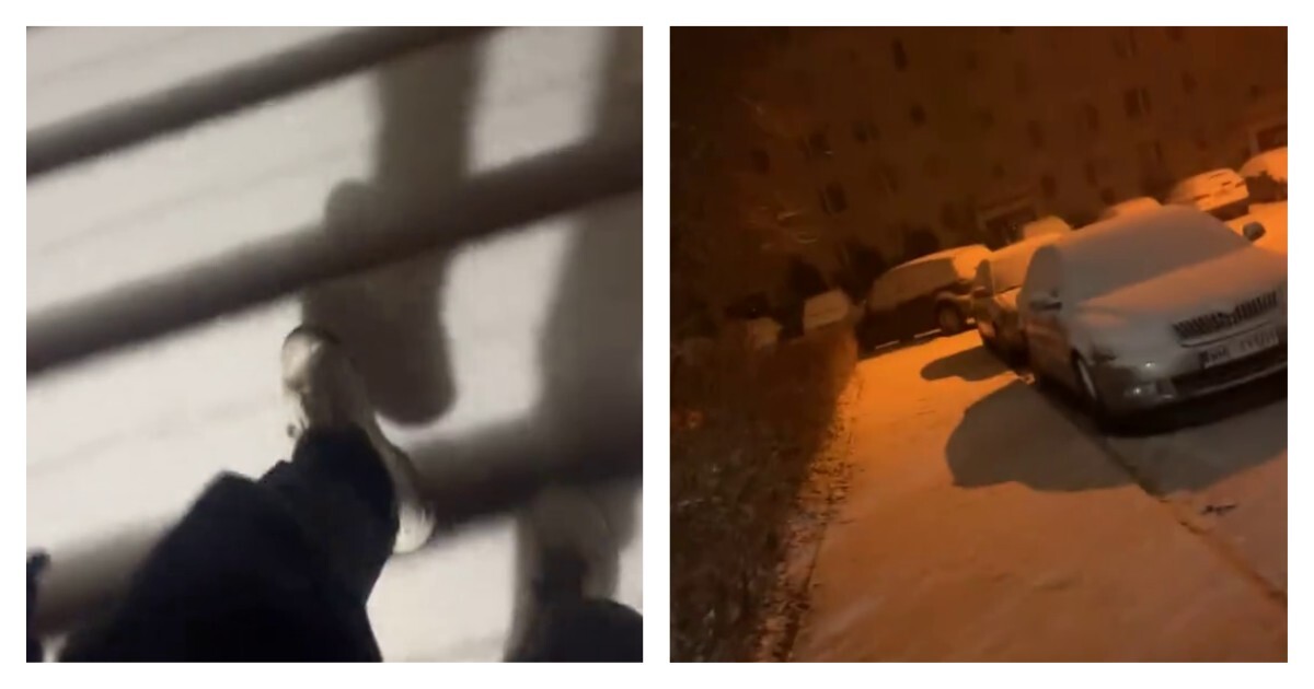 Порой польский язык понятен без перевода