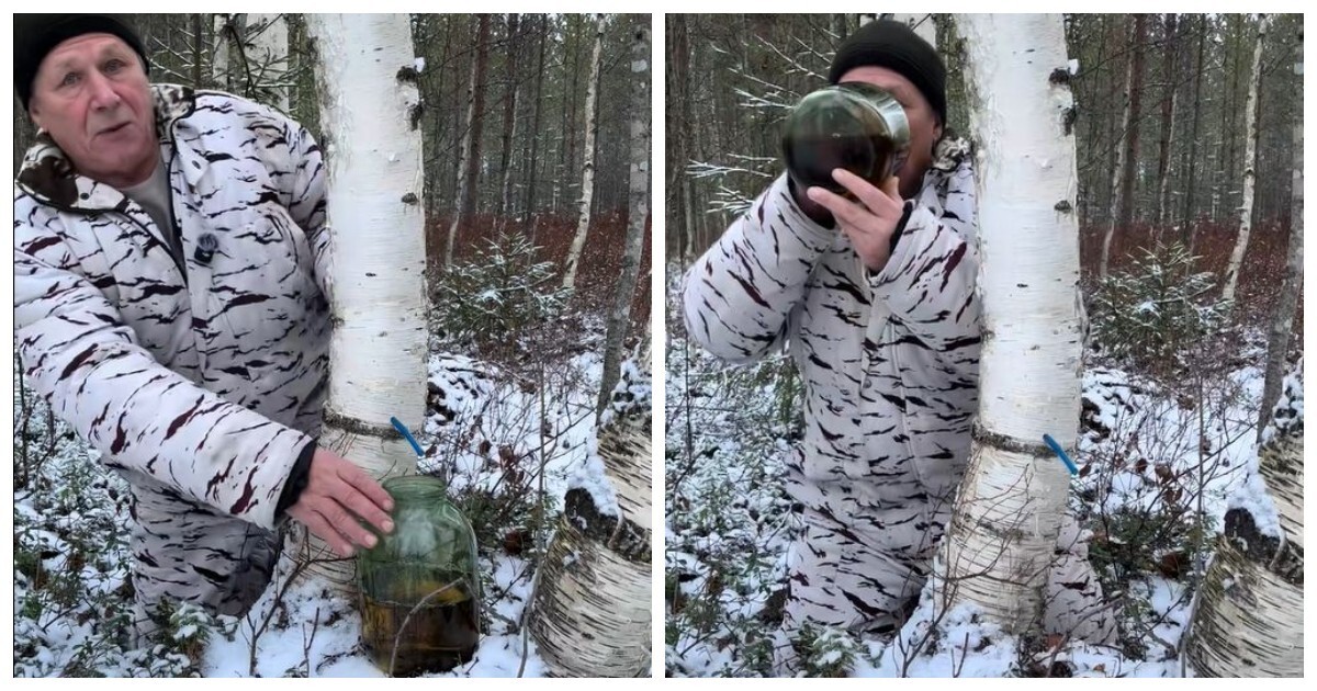 Мужчина оставил банку для берёзового сока и был удивлён результатом