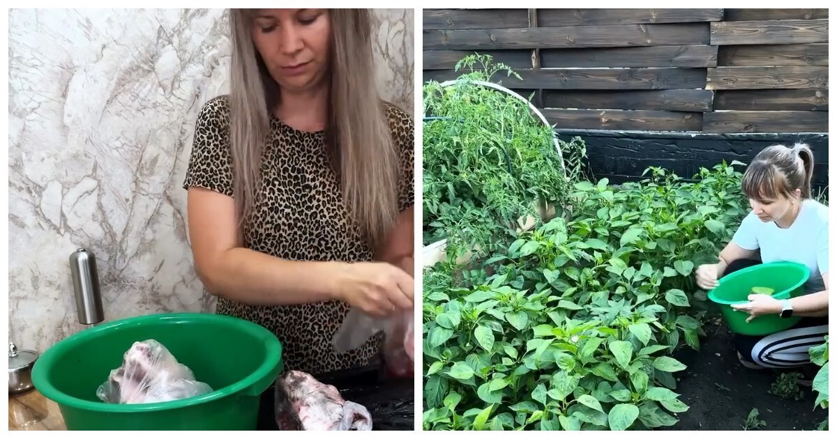 Тазик, которому доверяют всё: стирка, салаты и огурцы