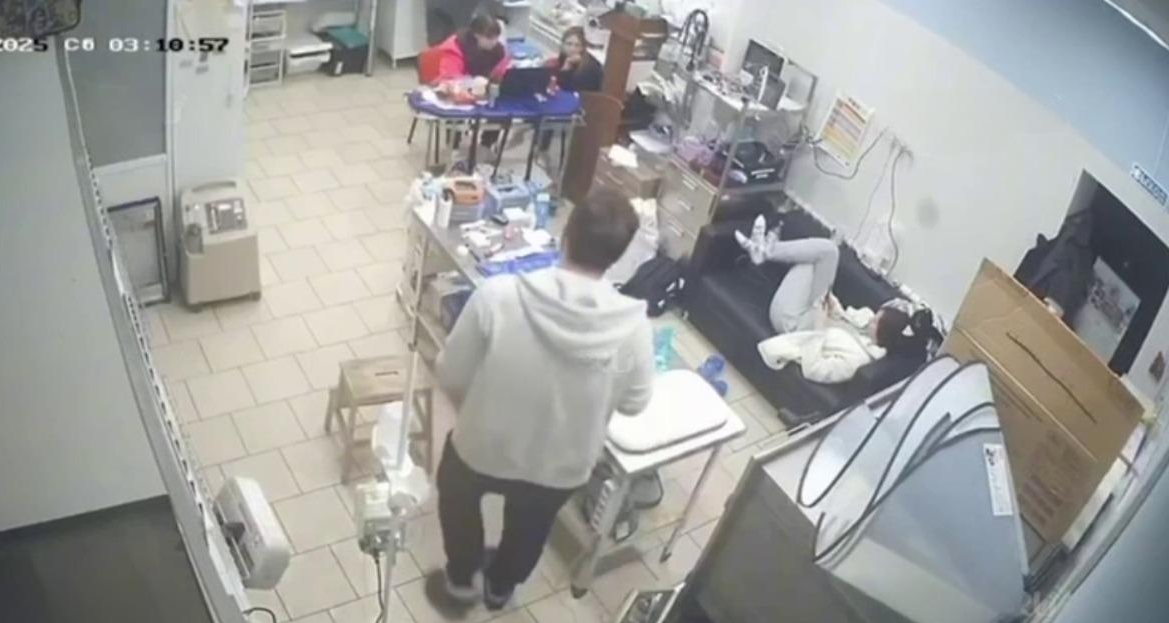 В московской ветклинике медики не спешили помогать умирающей собаке