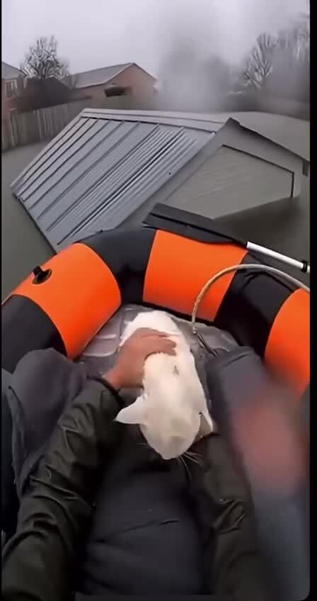 Душераздирающие кадры, слабонервным и беременным не смотреть