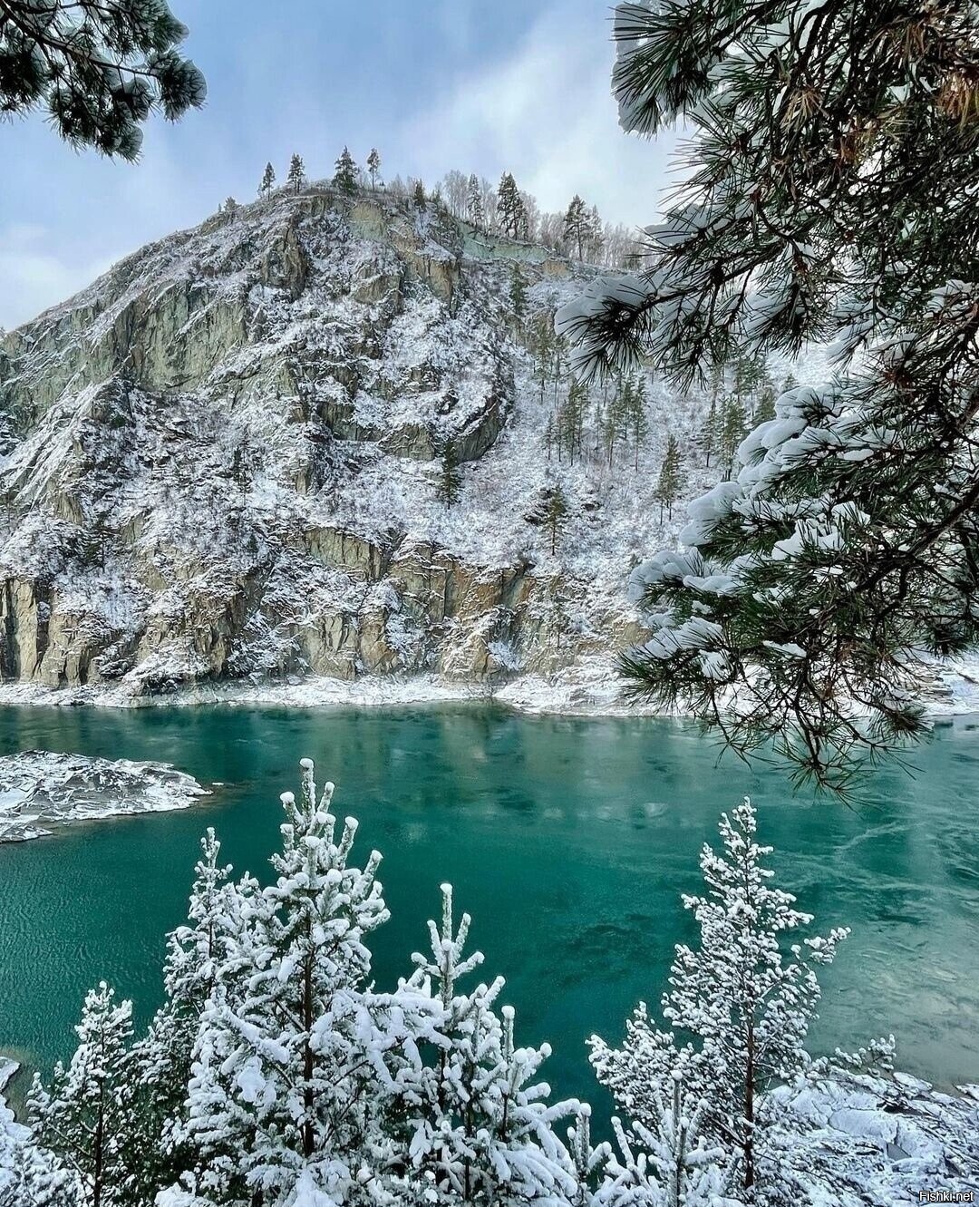 Солянка