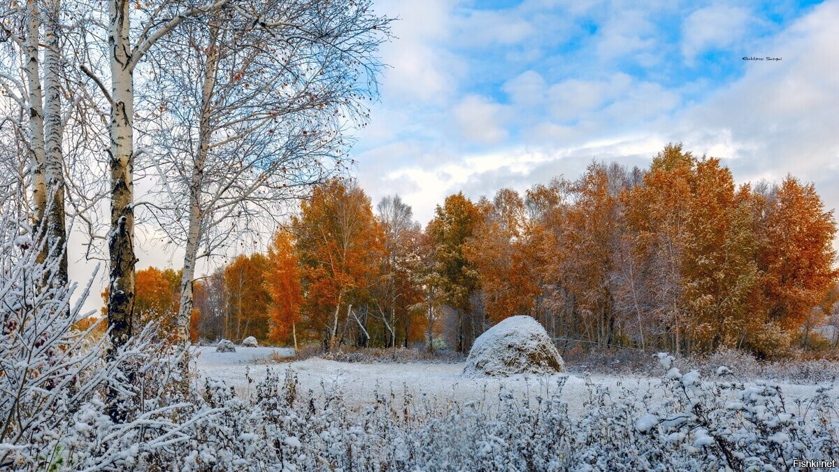 Солянка