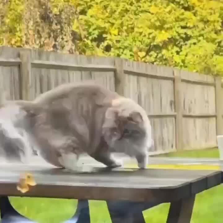 Играл с листочком и проиграл