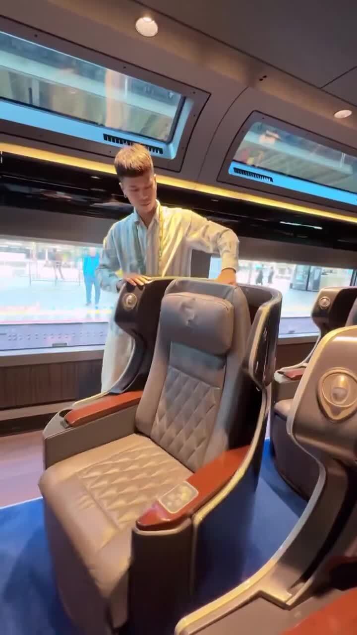 Обычный экскурсионный поезд в Токио 