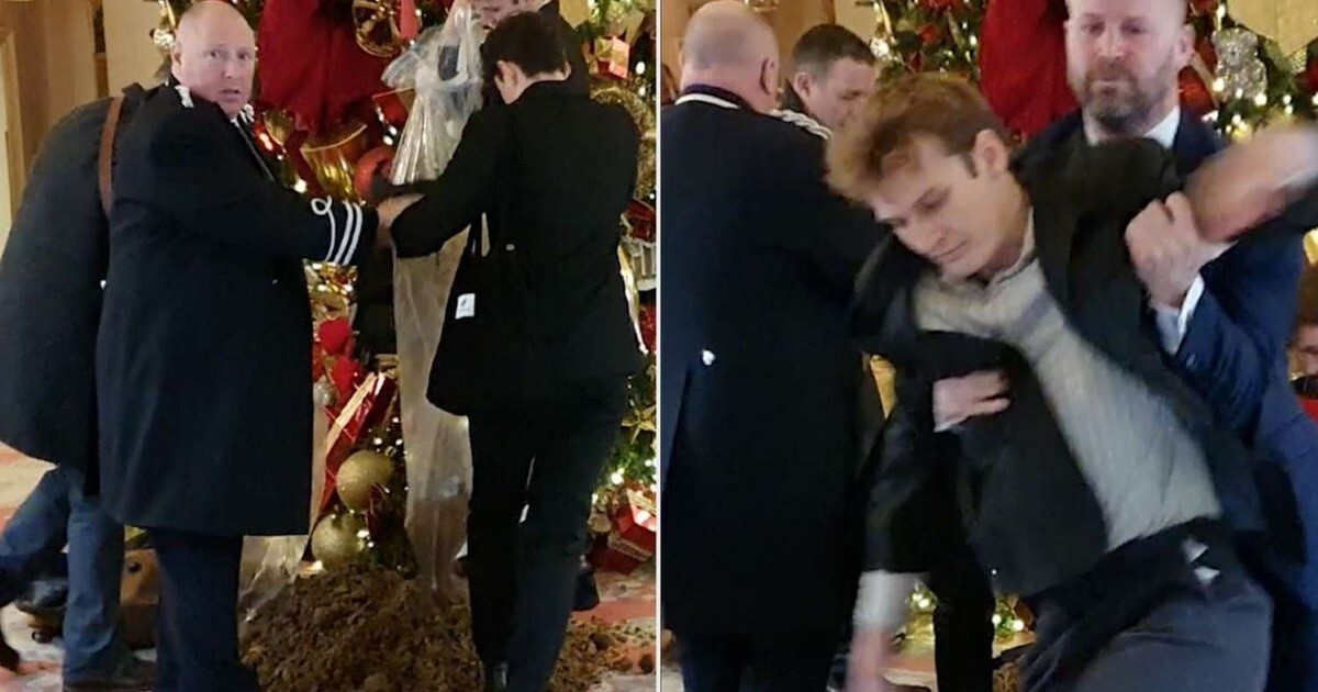 Протестующие удобрили навозом ёлку в отеле Ritz