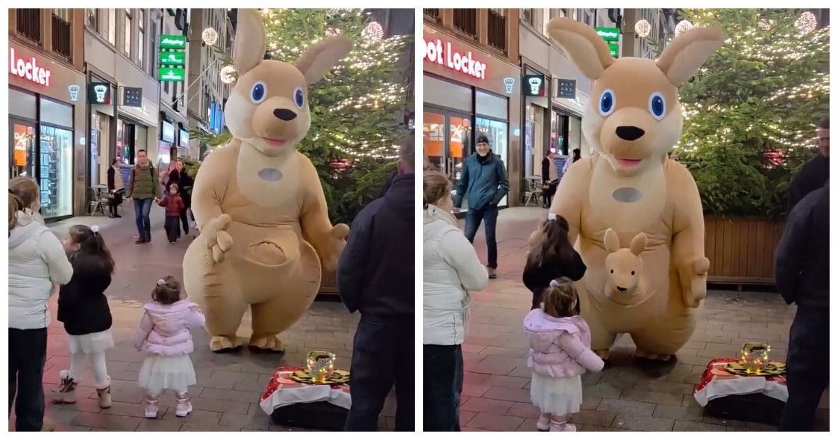 Двусмысленная деталь в костюме кенгуру