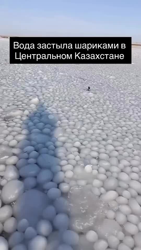 На озере Кенетай в Акмолинской области