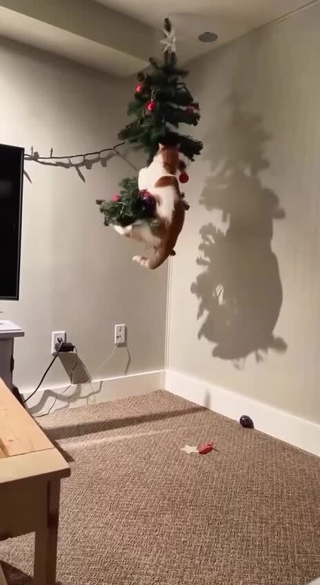 Скоро начнётся 