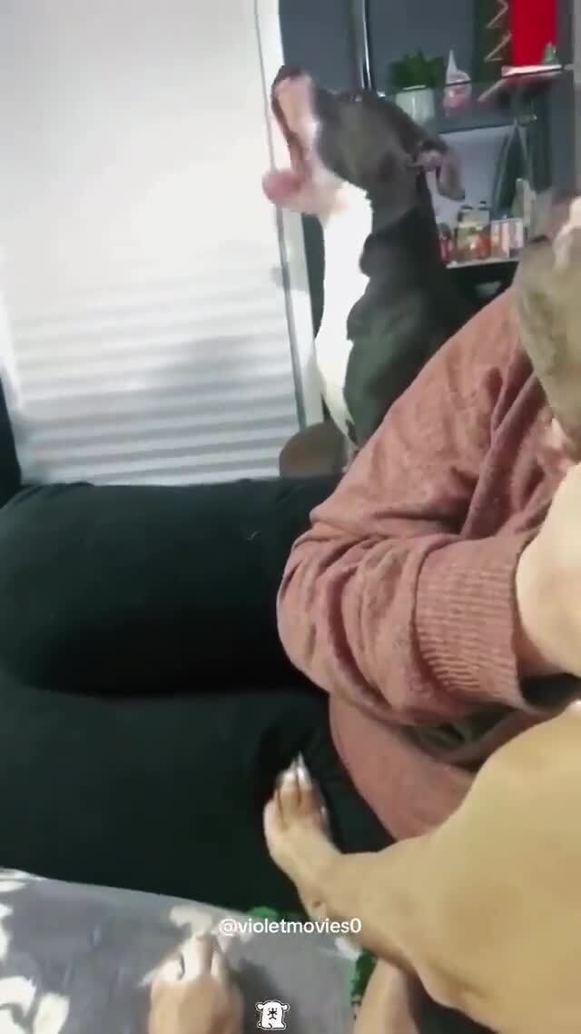 Когда не хватает внимания )))