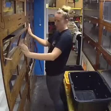Солянка