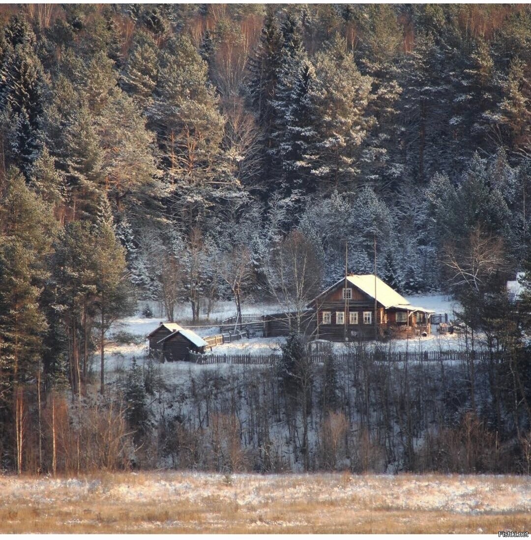 Солянка
