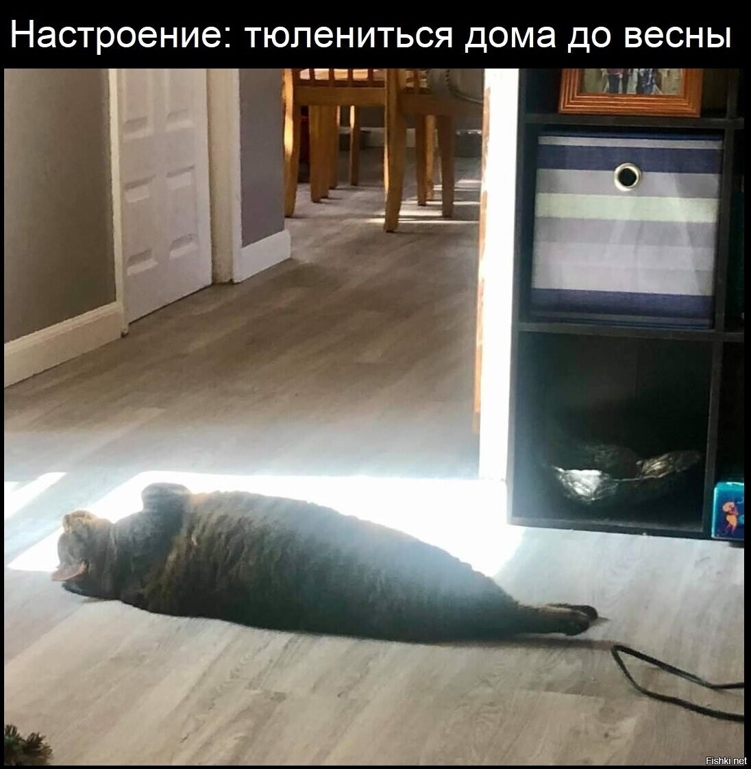 Солянка