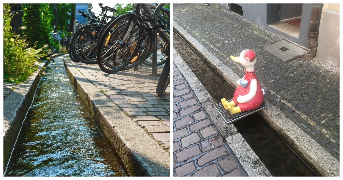 Бехле: от средневековой канализации до сердца Фрайбурга, где судьбу решает ручей