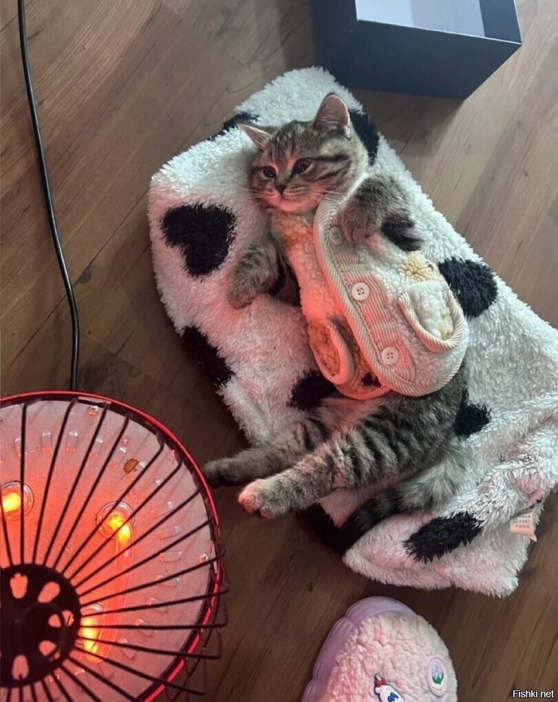 Солянка